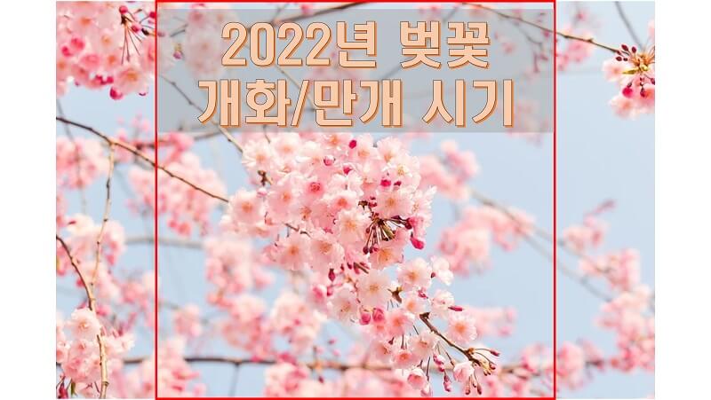 2022년-전국-벚꽃-개화-및-만개-시기-썸네일