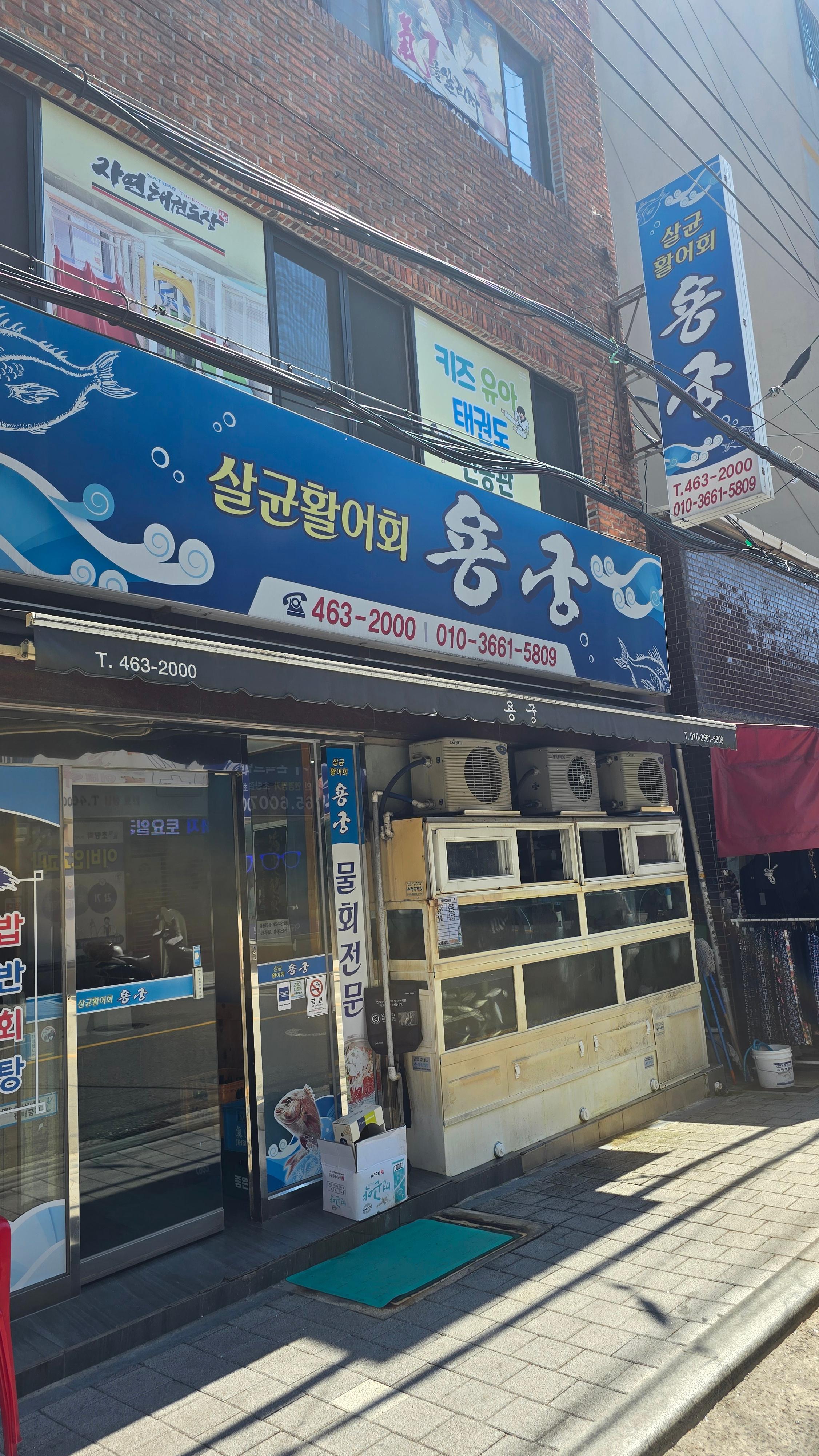 용궁 대표 사진