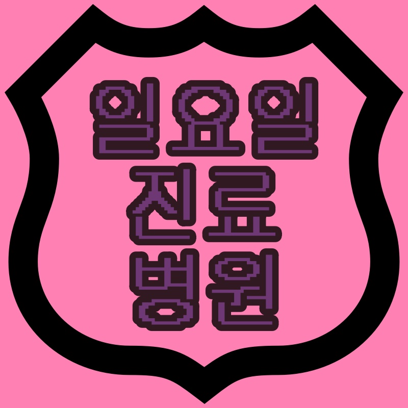 광주광역시 일요일 진료 병원과 진료시간