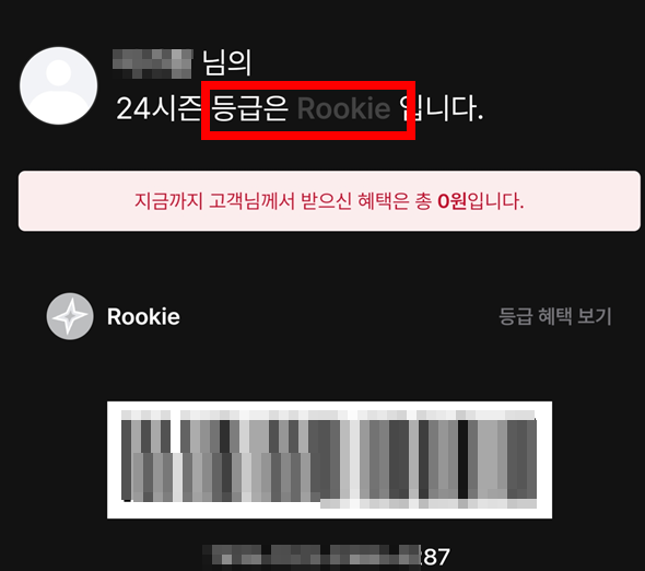 Rookie-등급