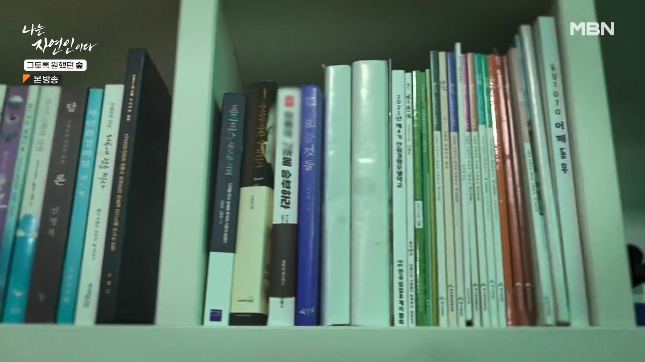 나는 자연인이다.E591.240132p-NEXT.mp4_20240201_195737.786.jpg