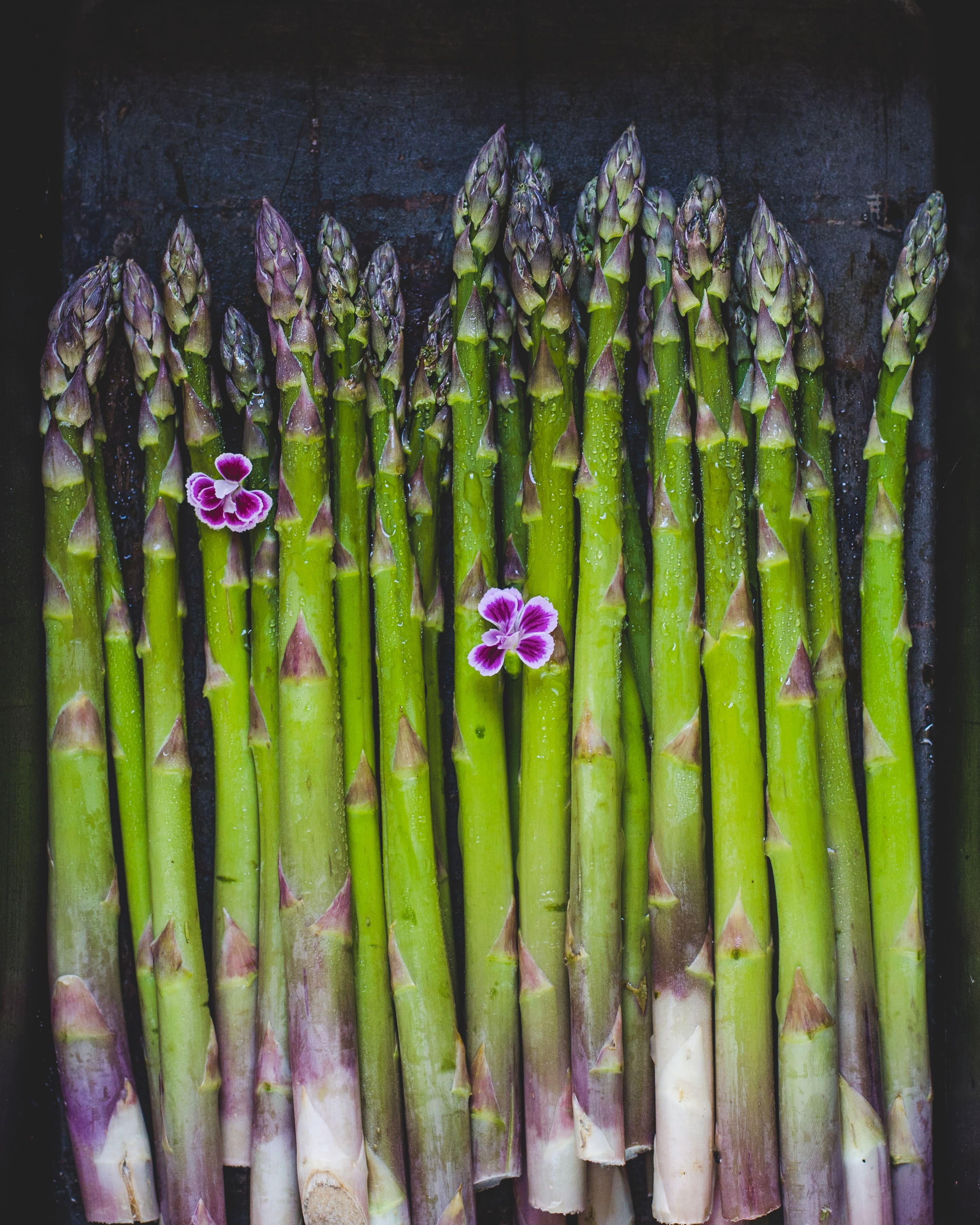 asparagus picture