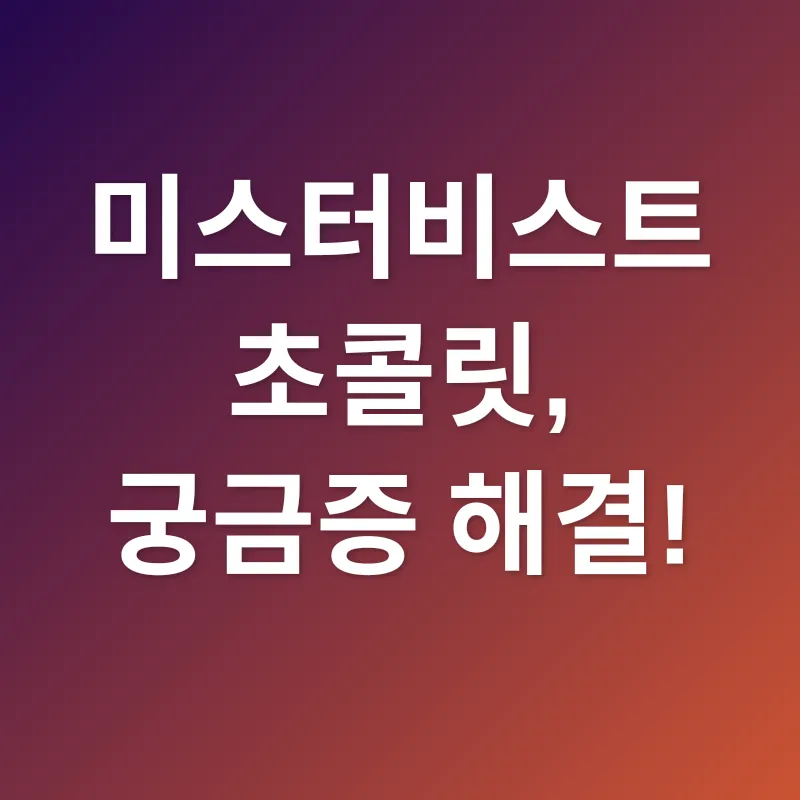 미스터비스트 초콜릿_4