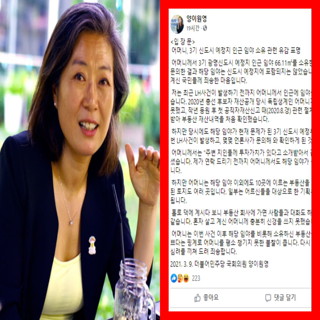 ì–'ì´ì›ì˜ ëª¨ì¹œ ì‹ ë„ì‹œ ë•… íˆ¬ê¸° ìžì§„ì‹ ê³  í›„ ë‚œë¦¬ë‚œ í˜„ìž¬ìƒí™© ë‚˜ì´ íŽ˜ì´ìŠ¤ë¶ Lh ë