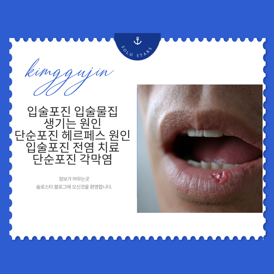 입술포진 관련 사진