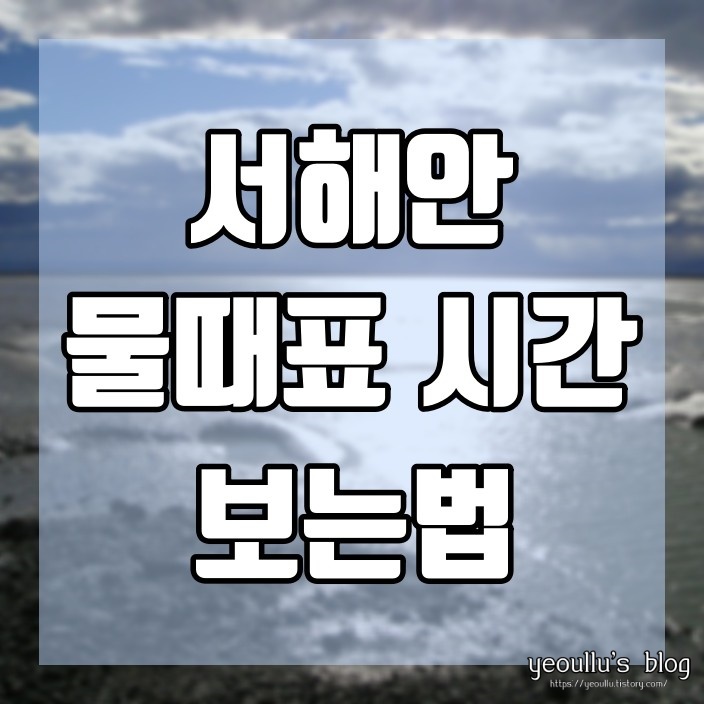  해루질, 갯벌 체험을 위한 서해안 물때표 시간 보는법 추천 사이트