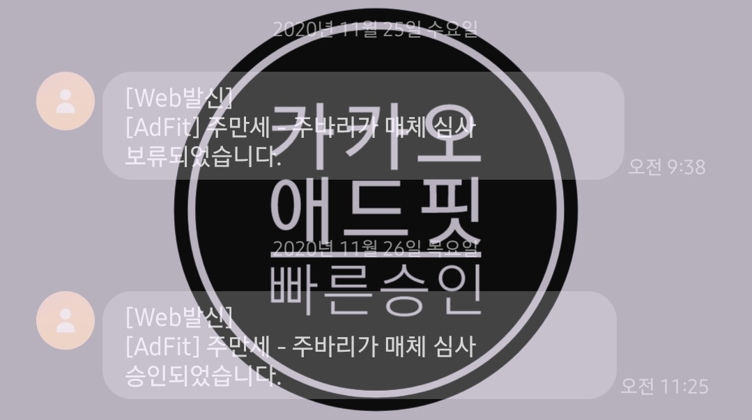  카카오애드핏 승인 및 본문 광고넣기(수익소개)