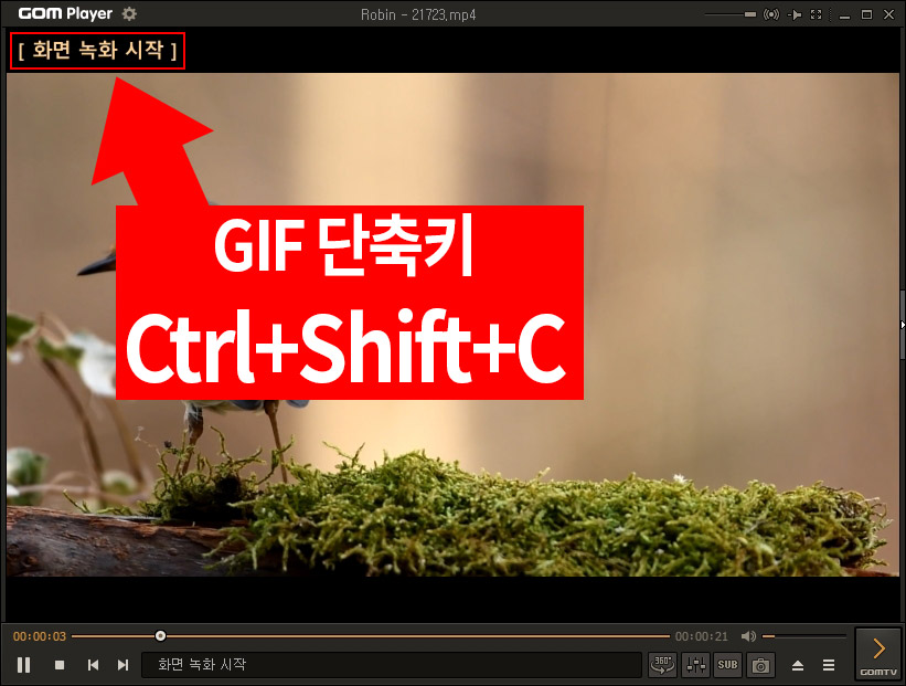  동영상 gif 움짤 만들기는 곰플레이어로 뚝딱 해결