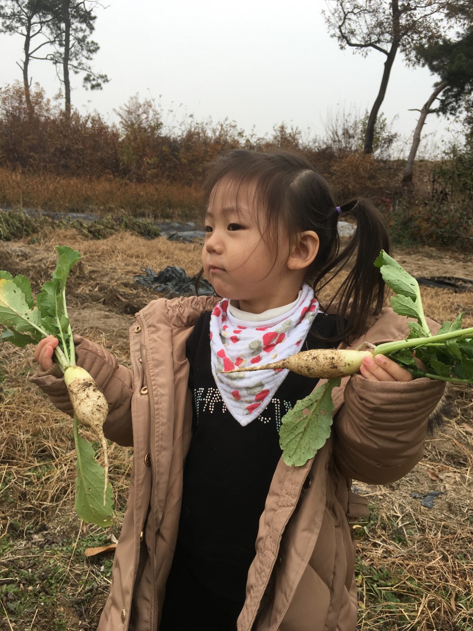 주말농장