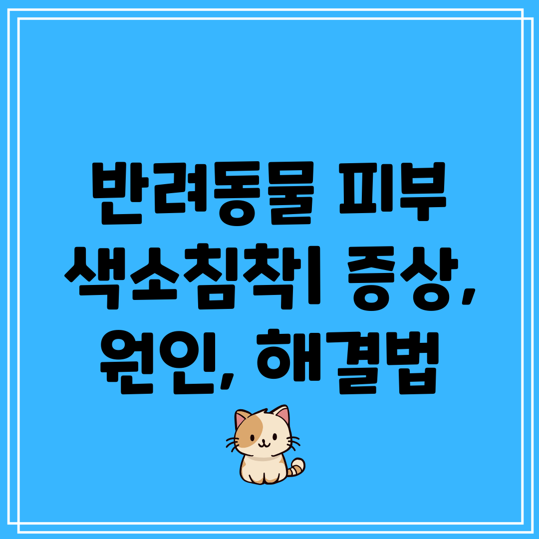 반려동물 피부 색소침착 증상, 원인, 해결법