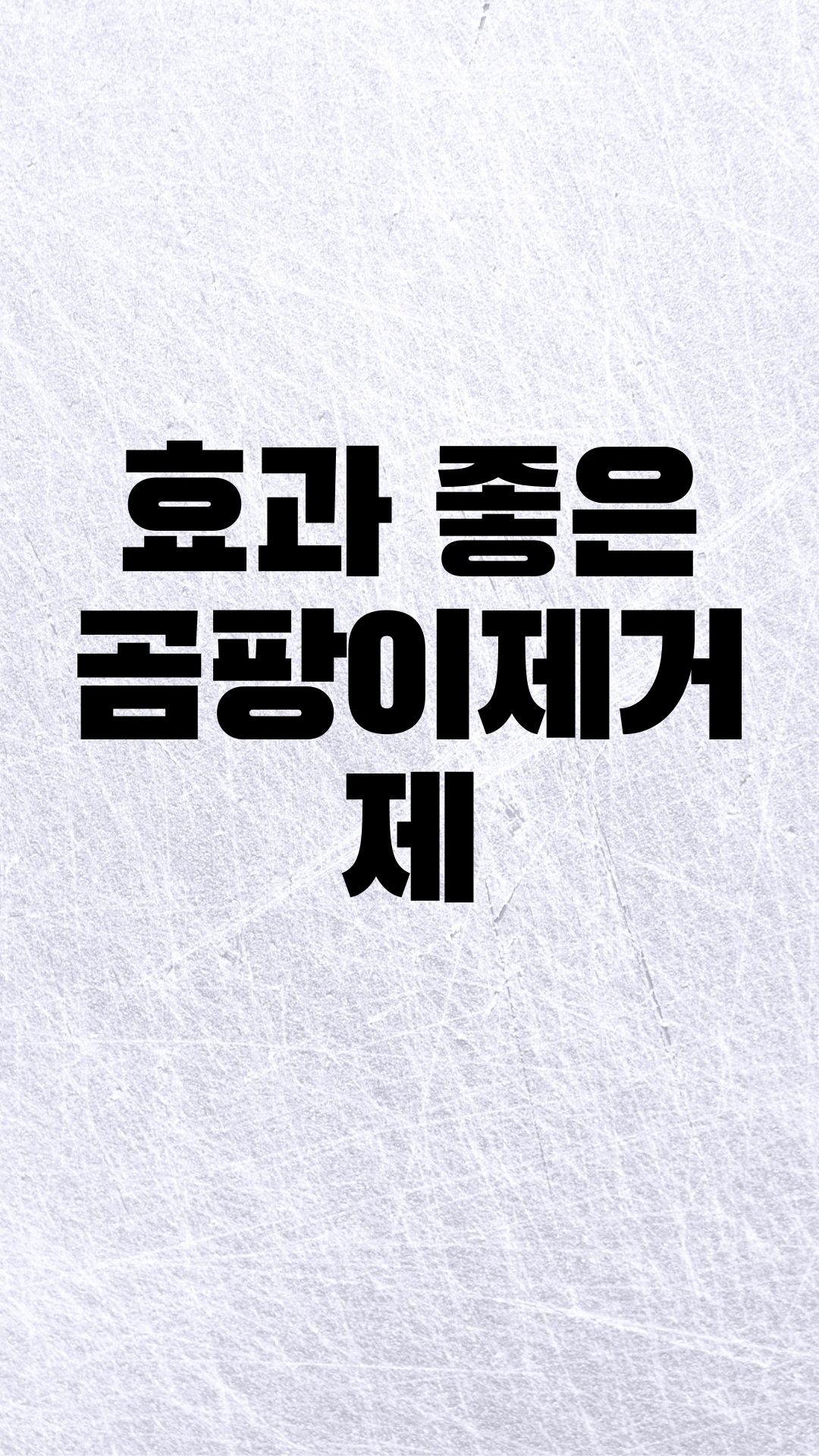  곰팡이는 홈스타로 싹