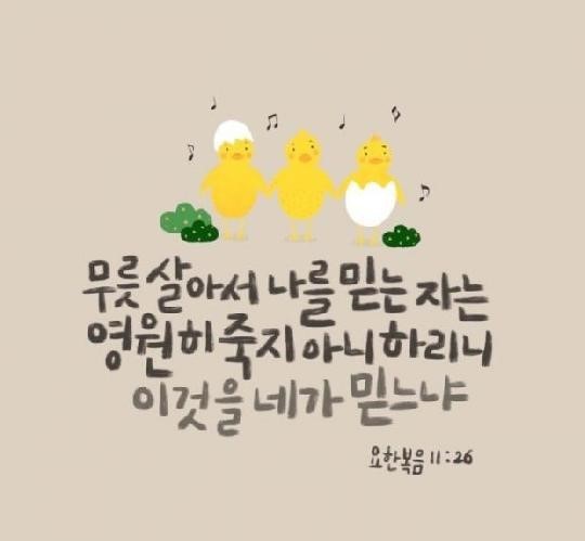 욘가 이미지