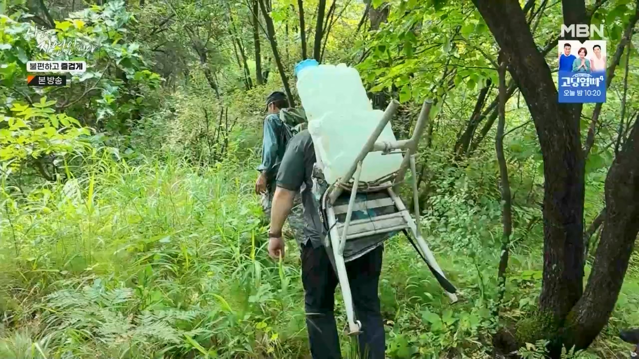 나는 자연인이다.E566.230810p.WANNA.mp4_20230810_202552.126.jpg