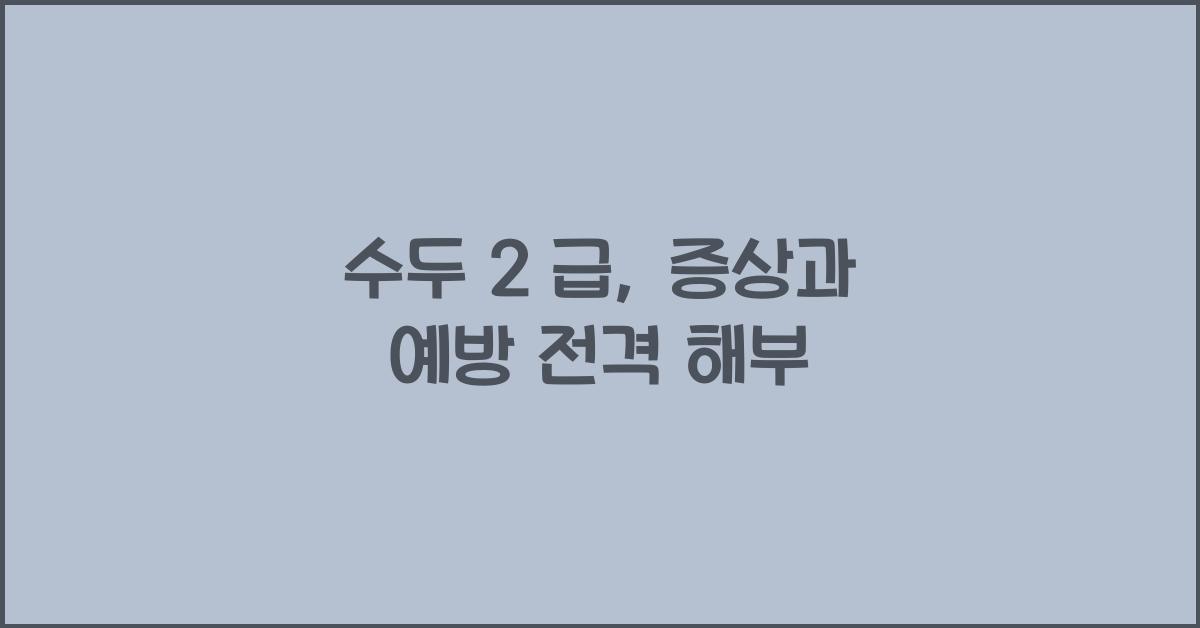 수두 2 급