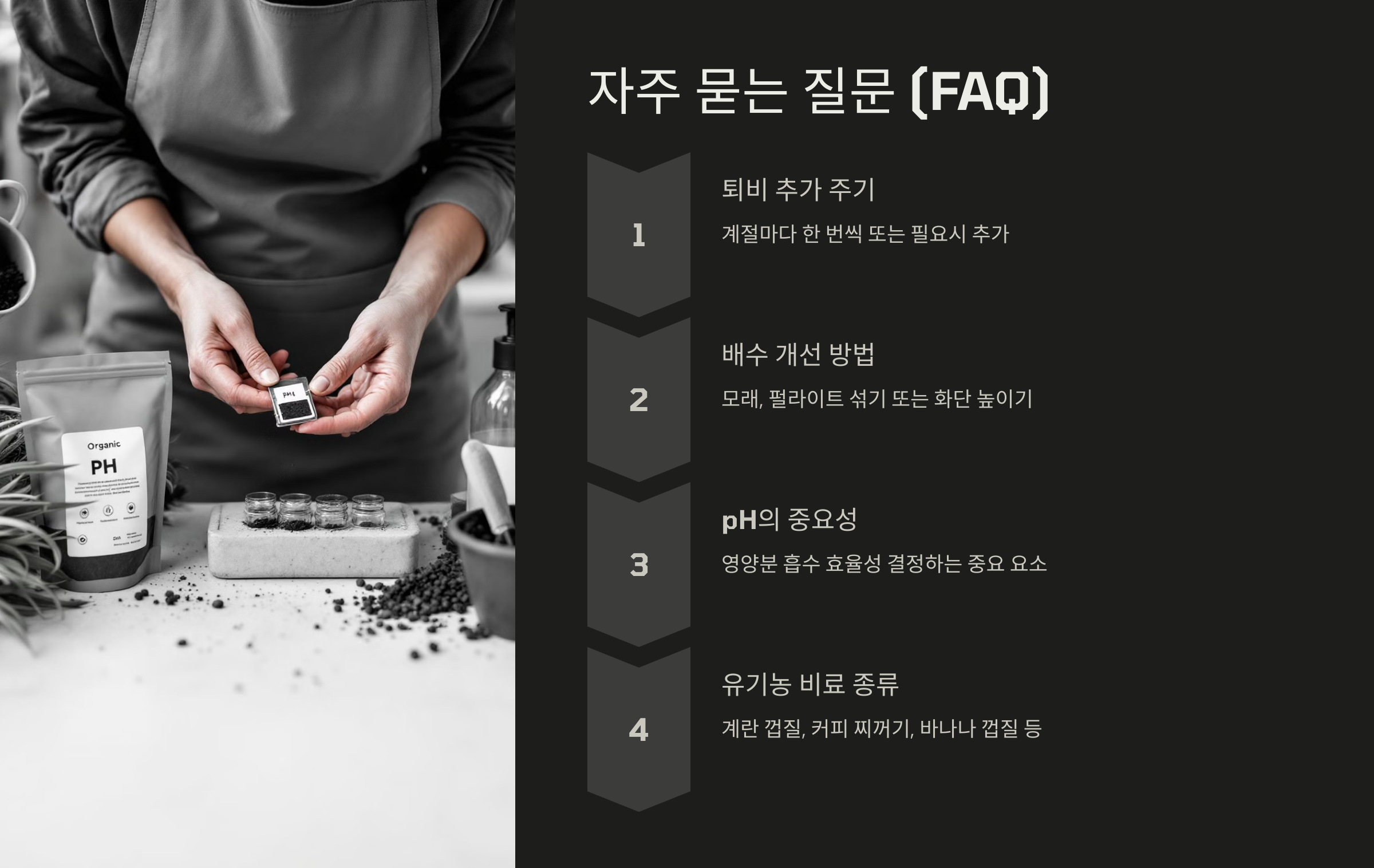 자주 묻는 질문 (FAQ)