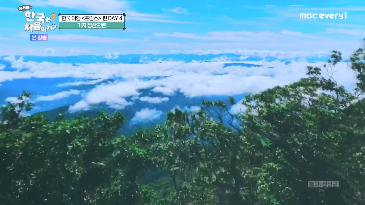 어서와 한국은 처음이지 시즌2.E315.240524p-NEXT.mp4_20240524_202746.949.jpg