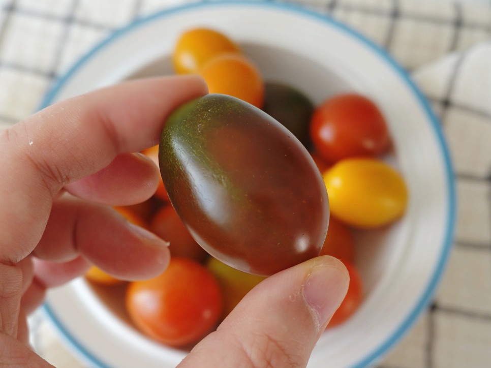 토마토들 산지직송 컬러 17