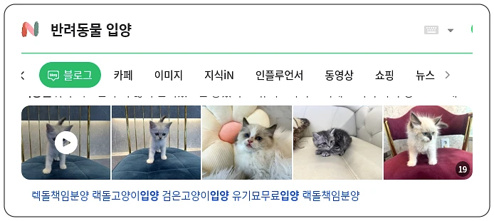 반려동물 입양_1_subsection