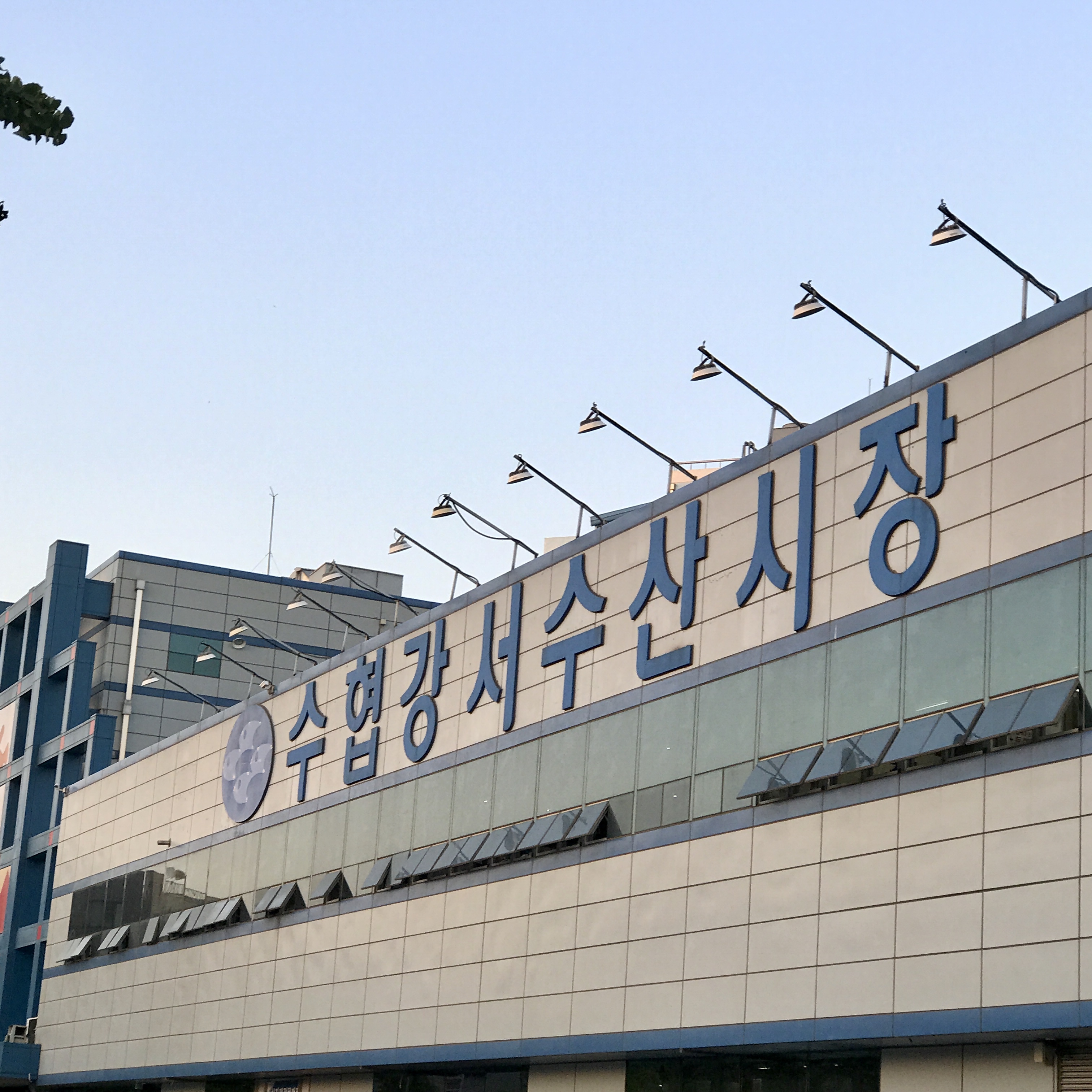  강서 수산시장, 제철 꽃게와 대하 구입. 꽃게 손질법, 꽃게 찌는법.