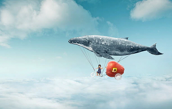 돼지의꿈 이미지