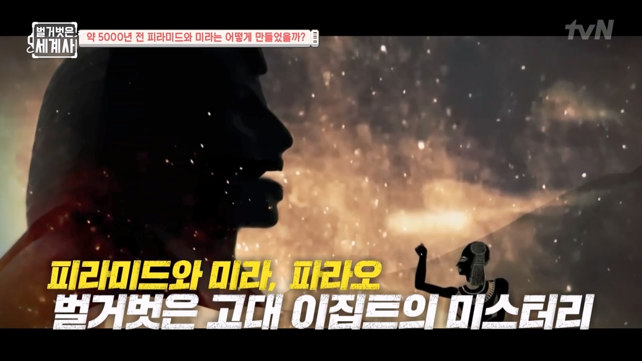 벌거벗은 세계사.E91.230322p-NEXT.mp4_20230422_174830.279.jpg