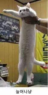 클린코드 이미지