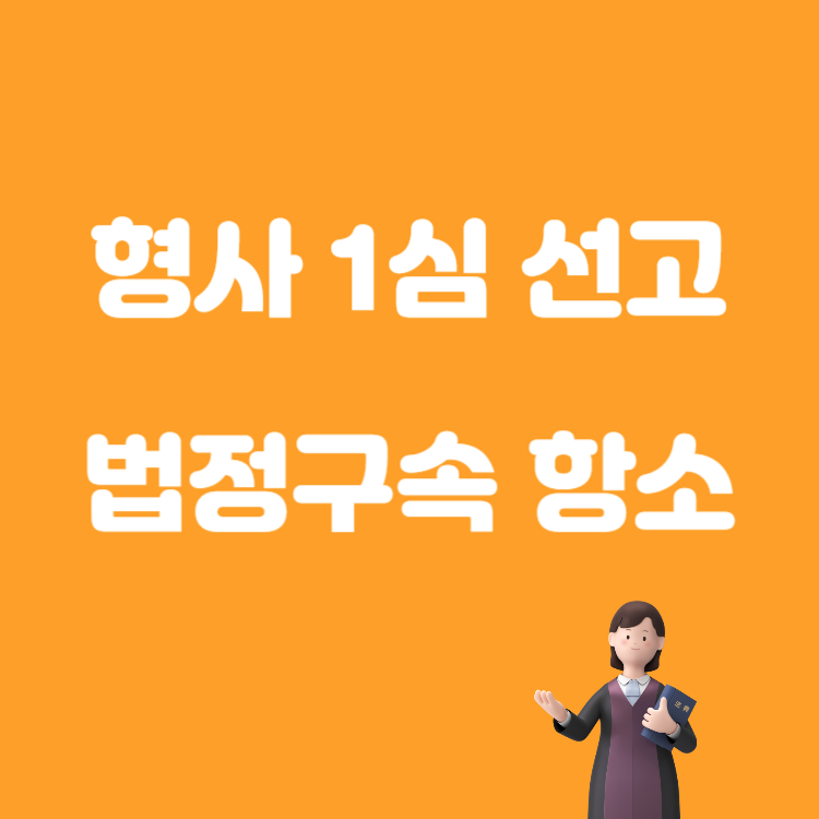 형사 선고 당일 법정구속 항소