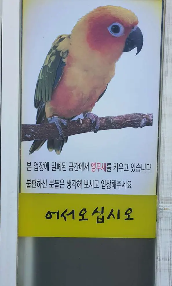 마두천손칼국수
