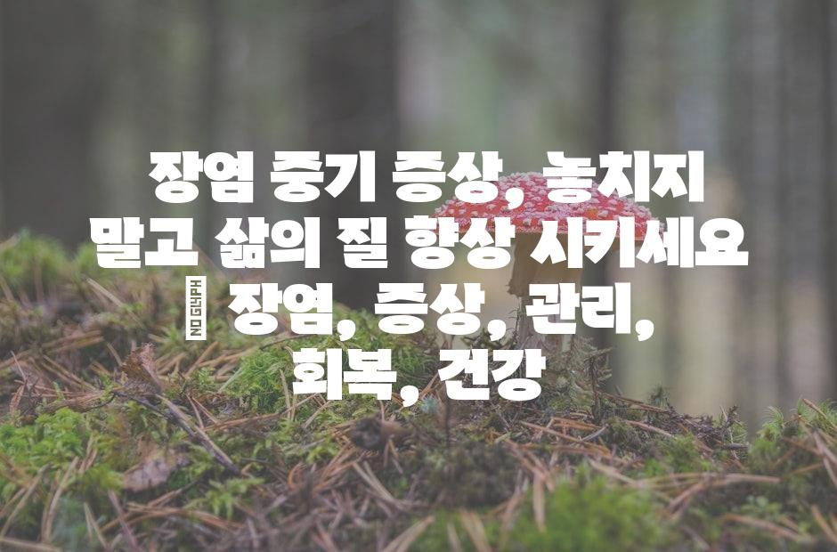 샘플 (42)