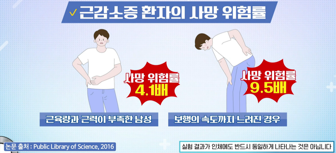 산양유 단백질 효능