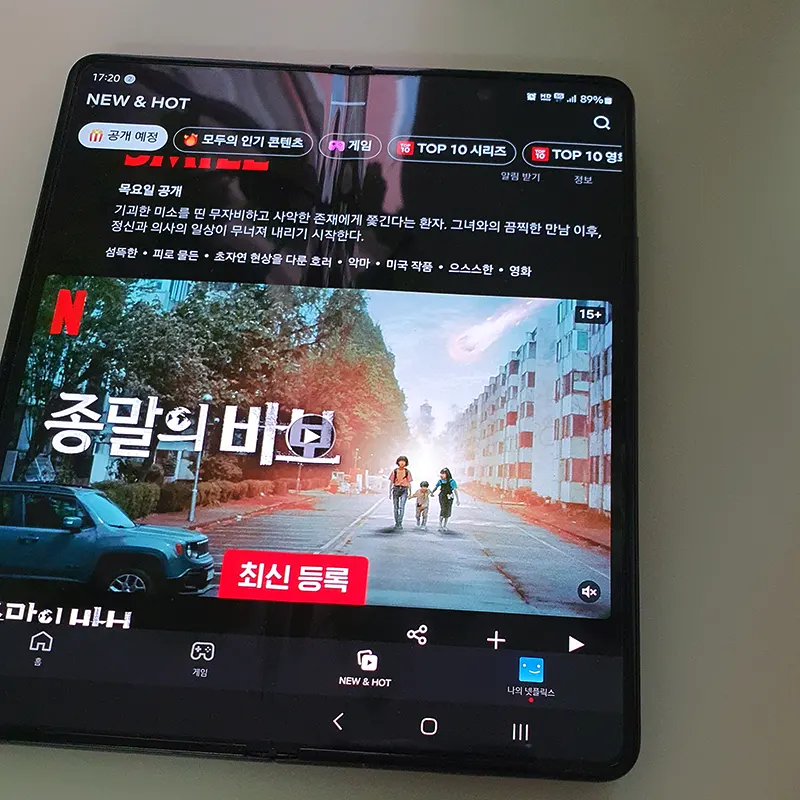 NETFLIX-종말의-바보