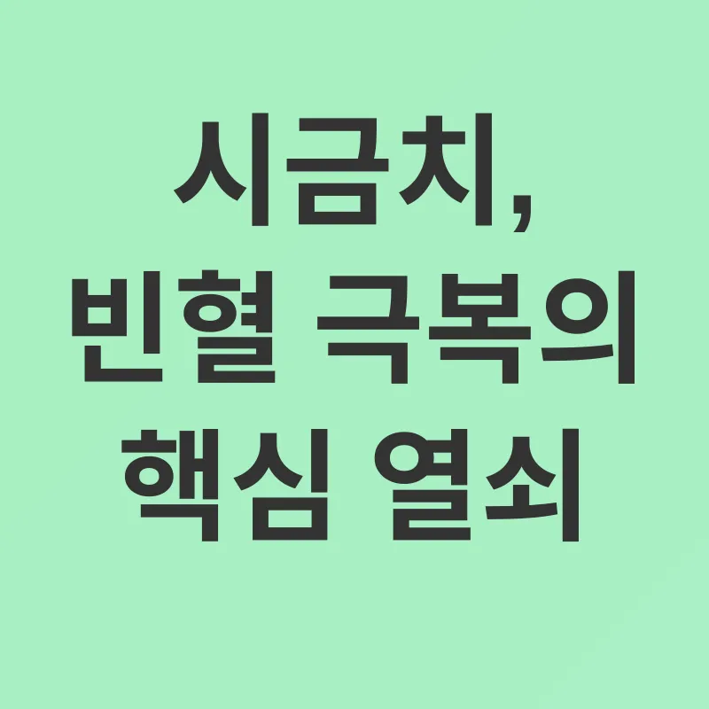 빈혈 예방_2
