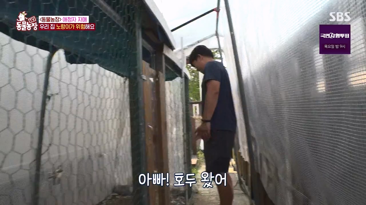 TV 동물농장.E1133.230814p-NEXT.mp4_20230813_171325.001.jpg