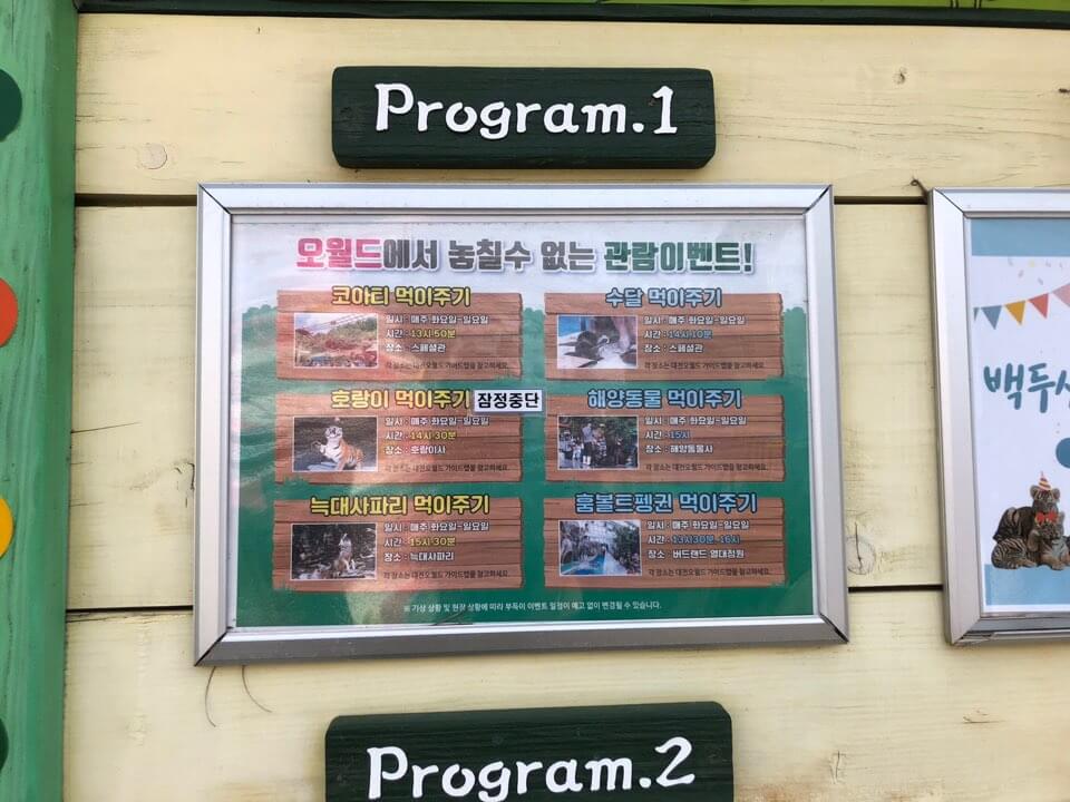 대전 오월드