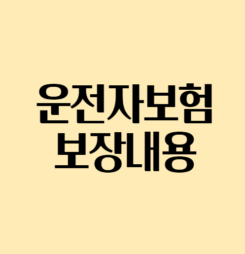 운전자보험_보장내용