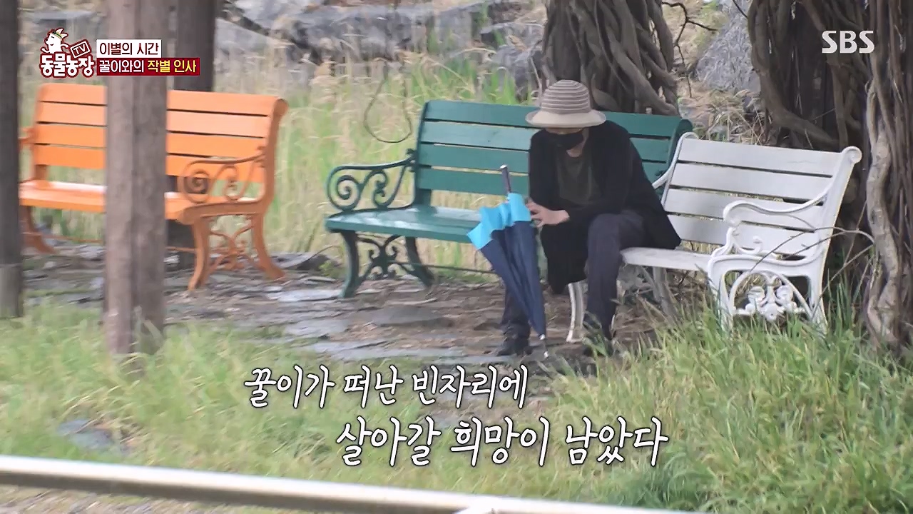 TV 동물농장.E1174.240603p-NEXT.mp4_20240602_155747.516.jpg