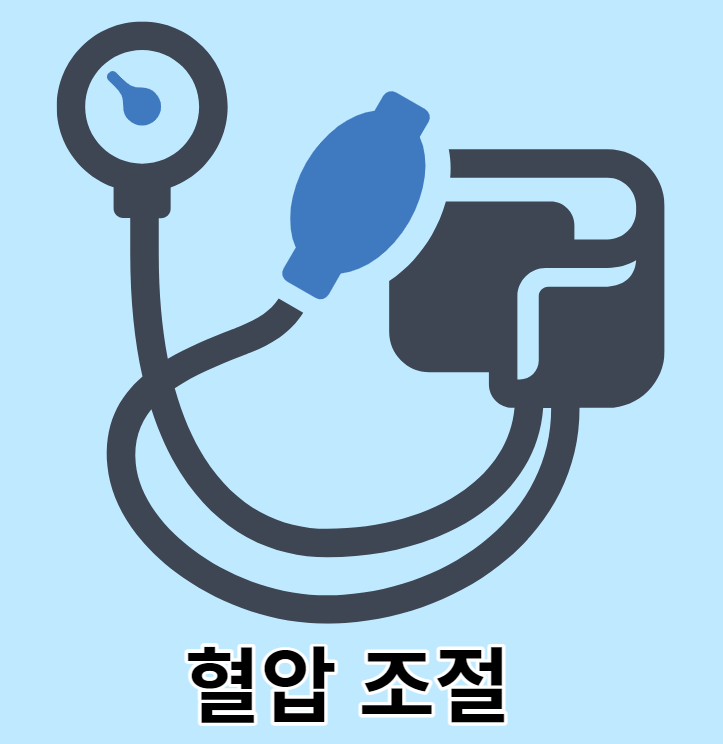 마늘종의 효능 9가지 혈압 조절