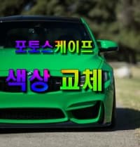  이미지 사진중 특정색만 다른 색으로 바꾸기 : 포토스케이프