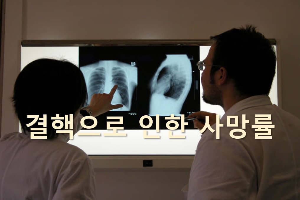  결핵 환자의 사망률이 코로나19로 인한 사망률 보다 높다?