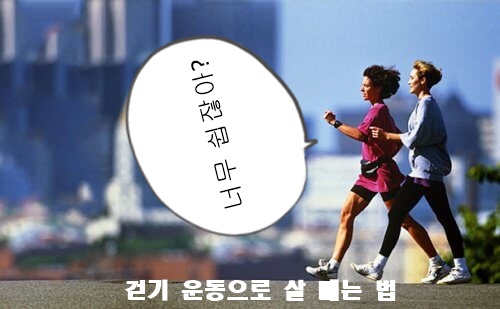  걷기 운동으로 살을 빼는법