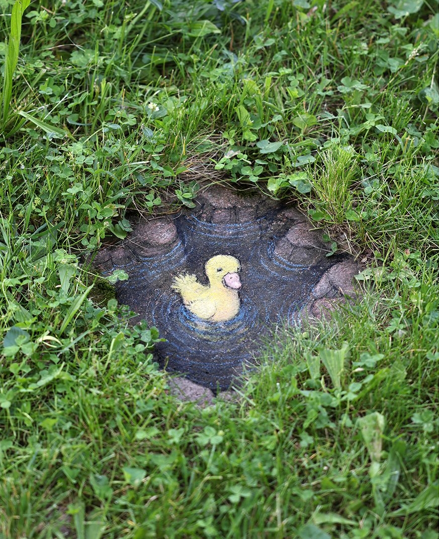 데이비드 진(David Zinn), 미국, 예술가, 1973-현재