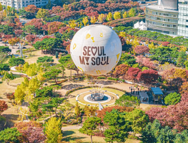 서울달 관련 이미지