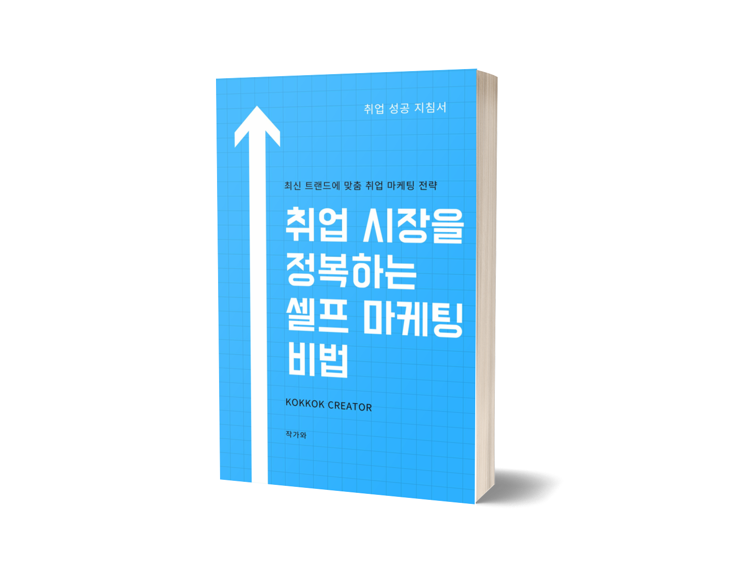  전자책 : 취업 시장을 정복하는 셀프 마케팅 비법