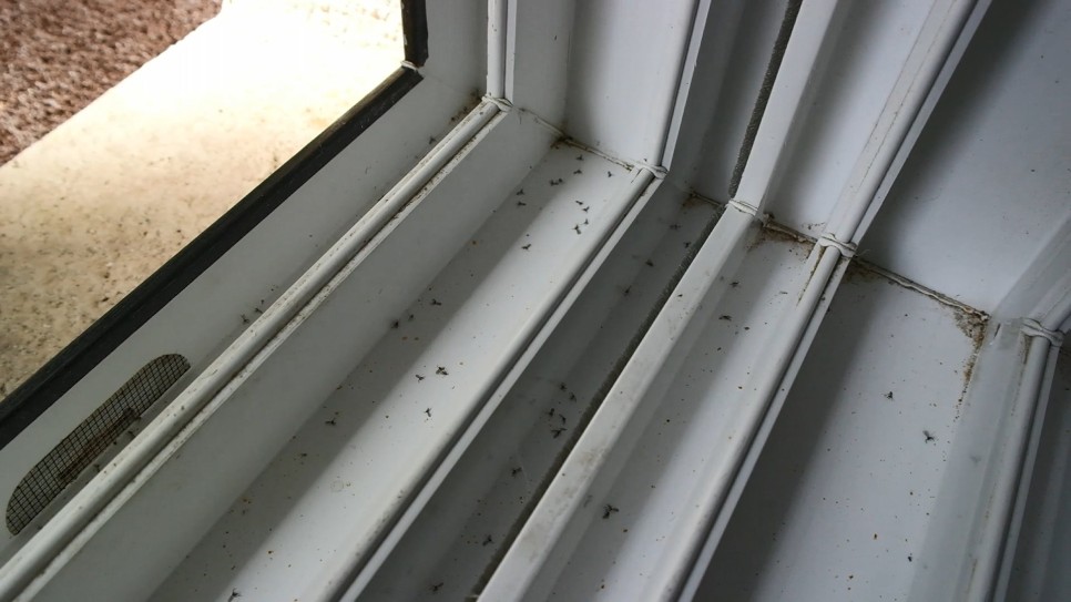 벌레 차단 창문틈 방충망 용인 아파트벌레 12