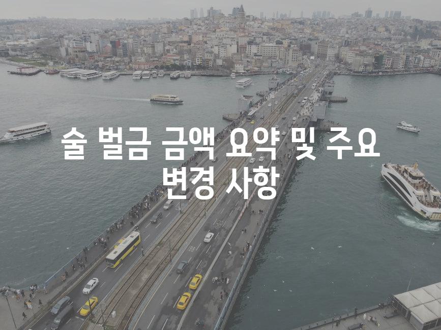 술 벌금 금액 요약 및 주요 변경 사항