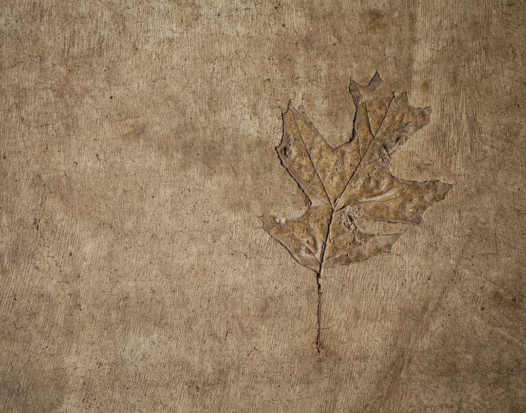 Fossil