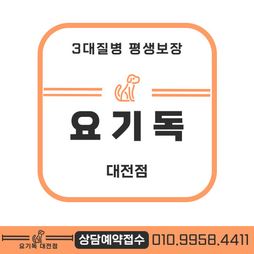  대전말티푸분양 건강이 우선입니다