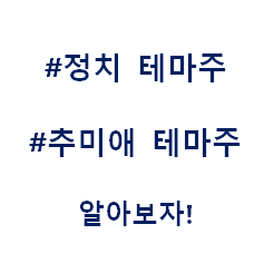  추미애 정치 총선 대선 테마주 관련주 대장주 수혜주