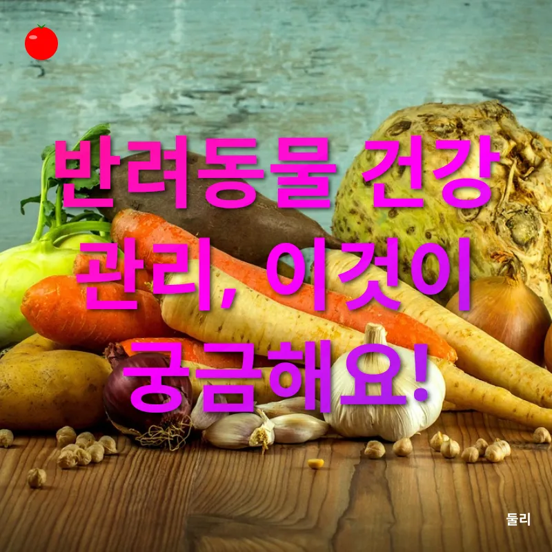 반려동물 건강 관리_4