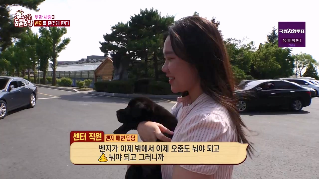 TV 동물농장.E1131.230731p-NEXT.mp4_20230730_190949.748.jpg